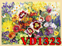 VD1323 - FLORI