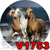 V1753 - CAI