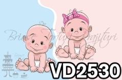 vd2530 - bebe